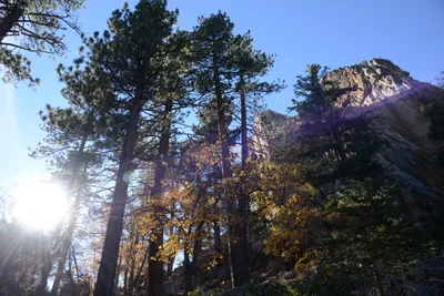 DSC_5157 (Large) (Large).JPG